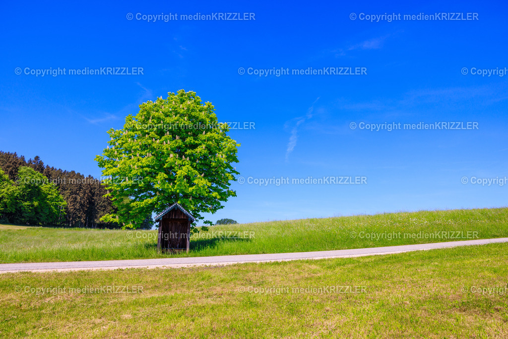 _J3A7786 | Bushaltestelle im Chiemgau - Realisiert mit Pictrs.com