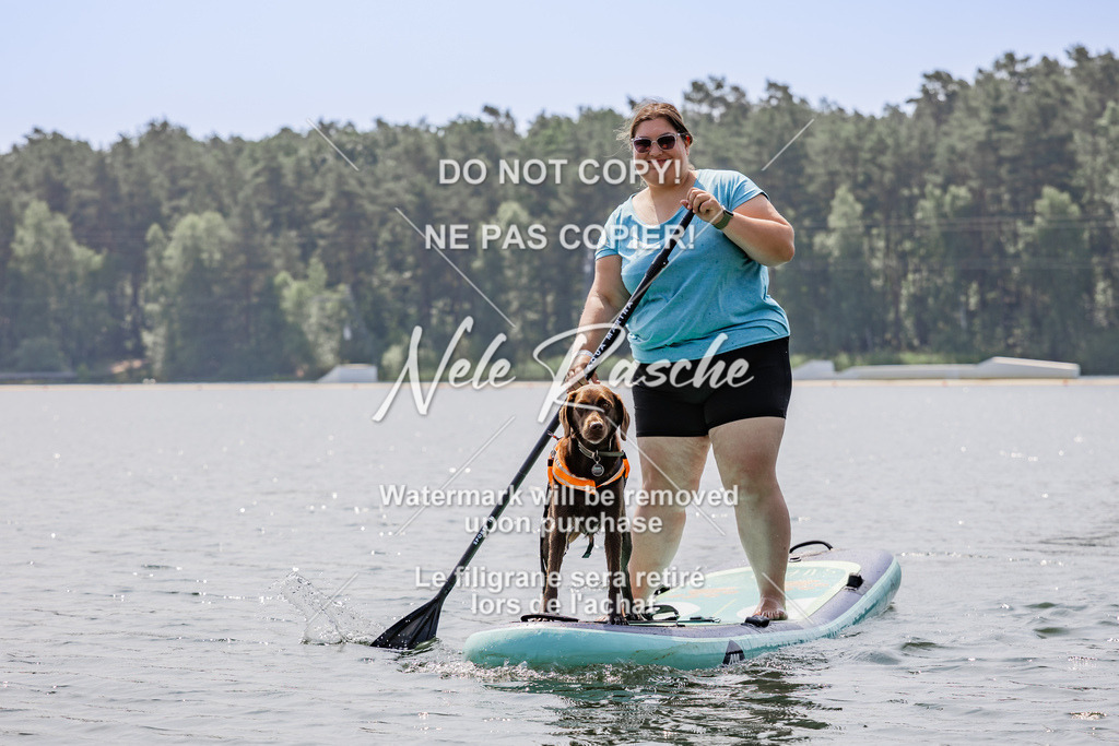 BUHU_SUP_655 | nelerasche
