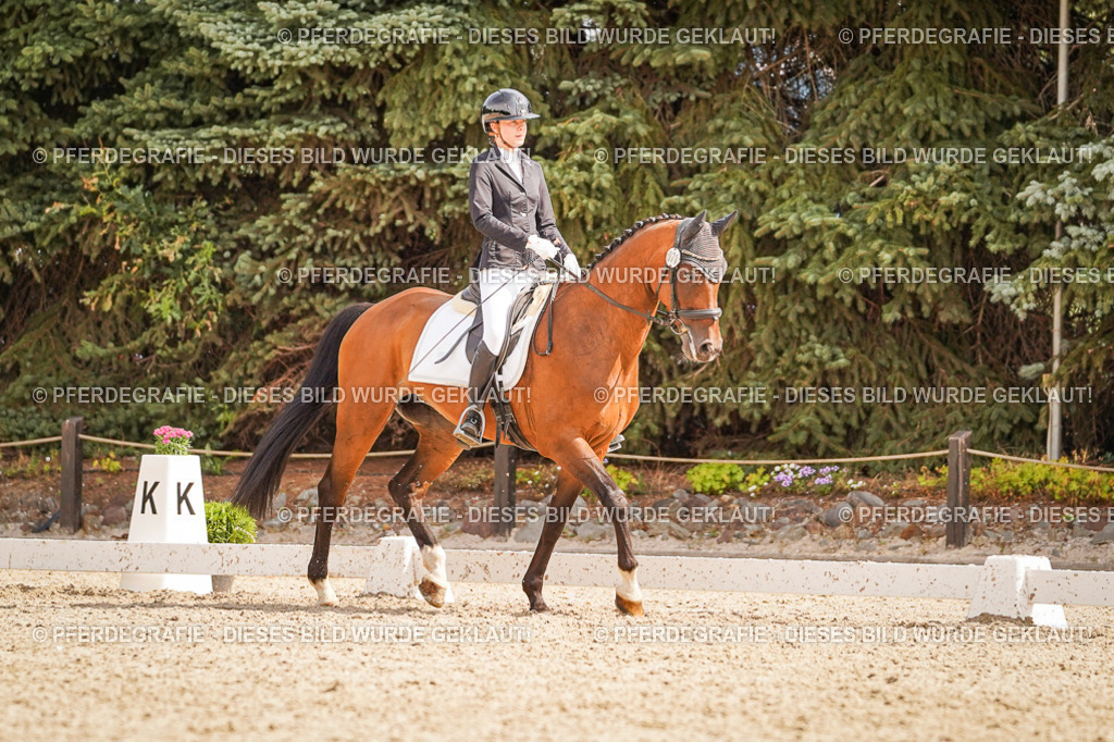 DSC01441 | Pferdegrafie