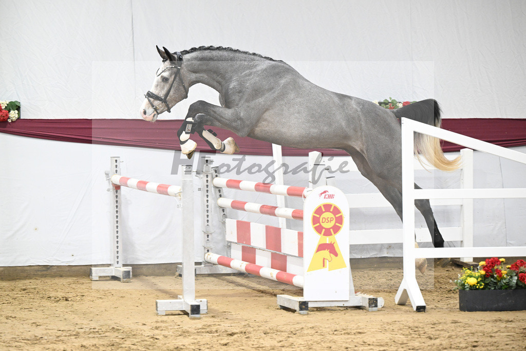 Kat-Nr. 83 Hickstead White x Chacco-Blue_Thomas Koeniger_47252823 | hf-fotografie - Realisiert mit Pictrs.com