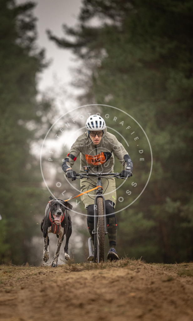 Pfotenfotografie_DV3A4376 | Hundefotografie, Tierfotograf, Pfotenfotografie, Fotoshooting Hund, Hunde Portrait, Hundesport, Hundeportraits, Heideshooting, Hunde, Sportfotograf, Hundefotograf, Turnierhundsport, THS,  - Realisiert mit Pictrs.com