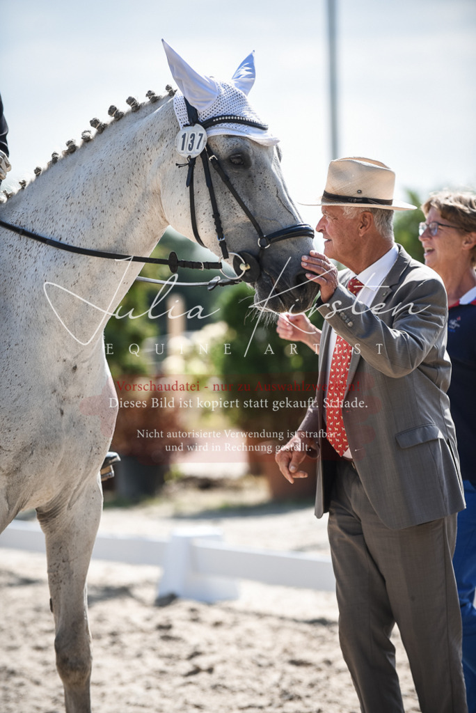 DSC_8744 | Pferde- und Turnierfotografie in Westsachsen. Pferdeportraits, Auftragszeichnungen und intuitive Kunst.