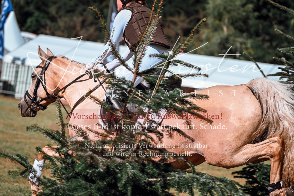 DSC_1140 | Pferde- und Turnierfotografie in Westsachsen. Pferdeportraits, Auftragszeichnungen und intuitive Kunst.
