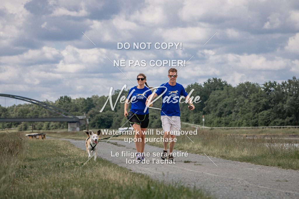 nelerasche_BuHu2026_SaCC1100-1200_102 | nelerasche