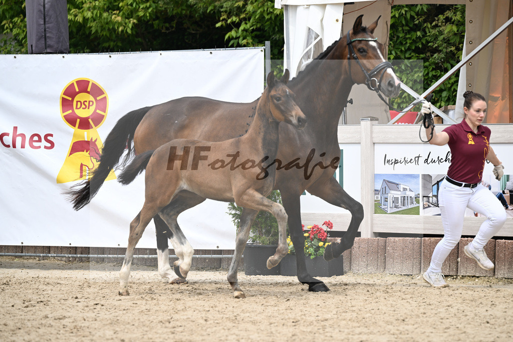 St. Emilion x Zoom_SF_Braig u Meyer_12250620 | hf-fotografie - Realizzato con Pictrs.com