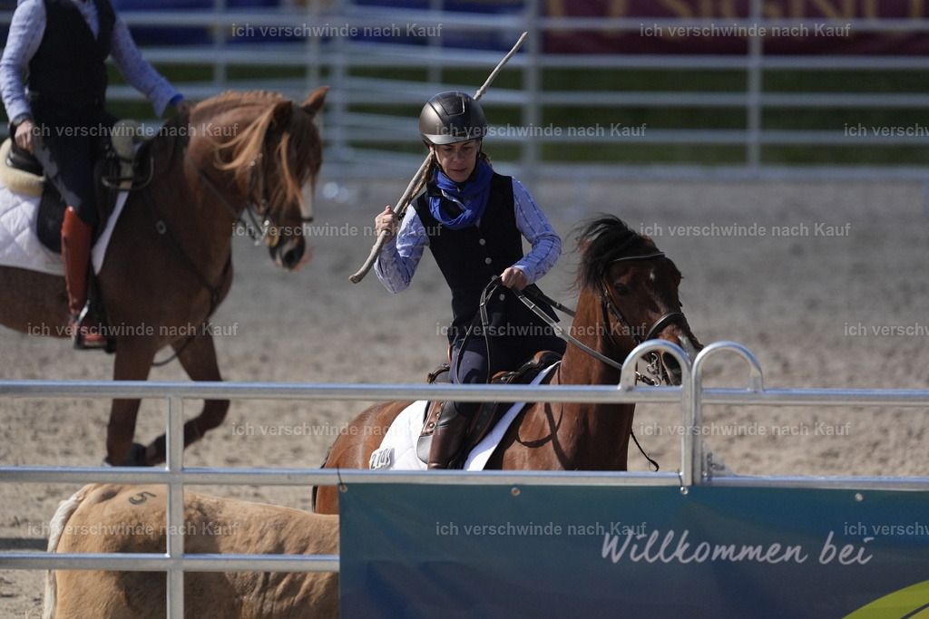 PI26_COW_Stoibphotography_DSC5110.JPG | working equitationturnier fotograf videograf stoibphotography marixx film working equitation deutschland reitsport turnierfotografie eventfotografie equestrian events