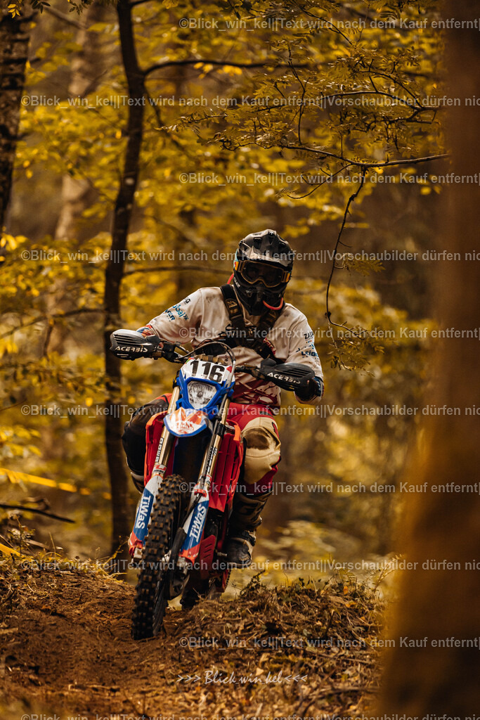 E68A3970 | blick_win_kel