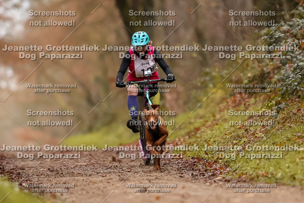 Dog Paparazzi - Speedhunter Mannheim  2025-112 | Dog Paparazzi Jeanette Grottendiek Fotografie & Videografie