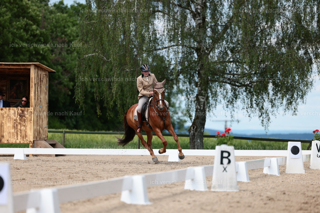 KlasseM_Stoibphotography_C2_L6402.JPG | working equitationturnier fotograf videograf stoibphotography marixx film working equitation deutschland reitsport turnierfotografie eventfotografie equestrian events