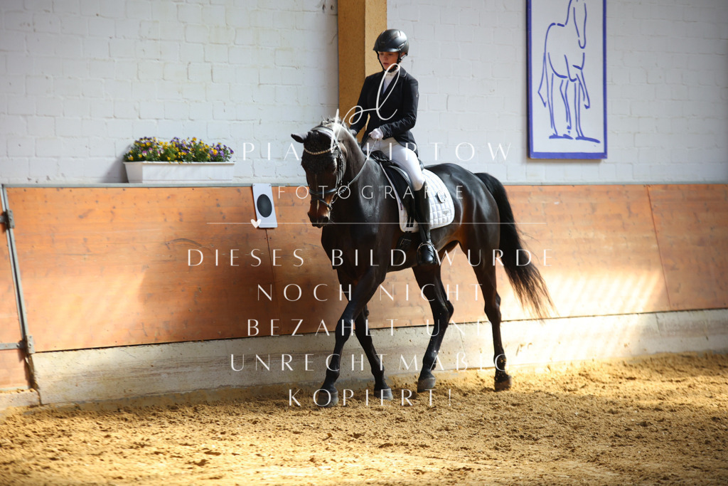 IMGT7038 | pl-fotografie