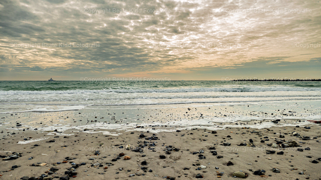 P1220322 | beatekidd-fotografie - Realisiert mit Pictrs.com