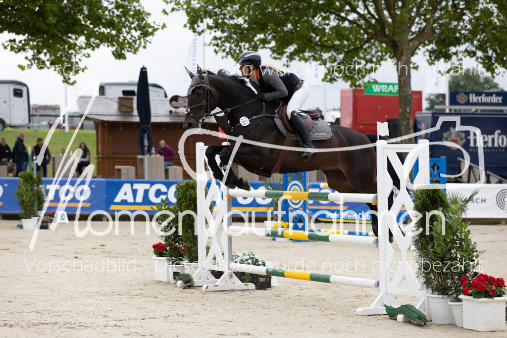 BHO-2PhSpr-M-019 | MomenTaufnahmen Pferdesportfotos