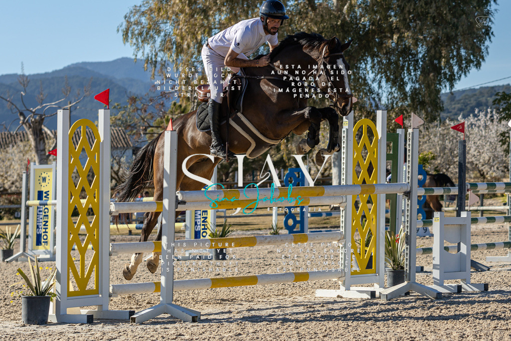 IMG_1872 | s-jay-photography - Realisiert mit Pictrs.com