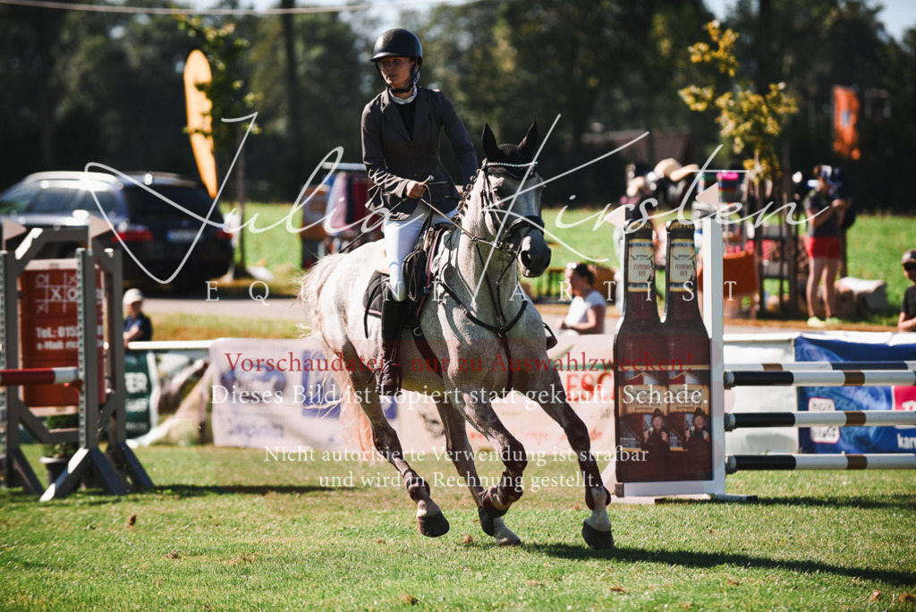 DSC_2543 | Pferde- und Turnierfotografie in Westsachsen. Pferdeportraits, Auftragszeichnungen und intuitive Kunst.