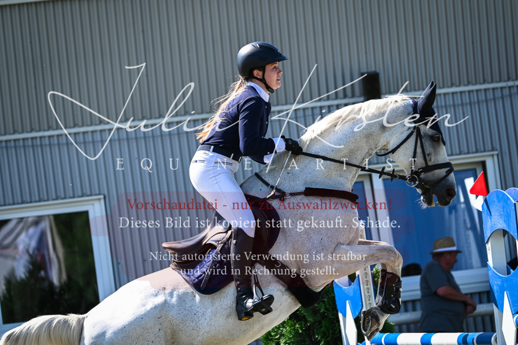 DSC_1396 | Pferde- und Turnierfotografie in Westsachsen. Pferdeportraits, Auftragszeichnungen und intuitive Kunst.