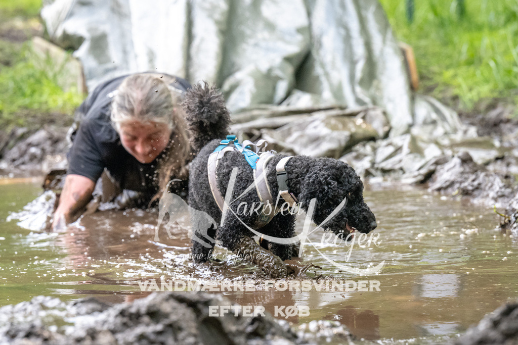 1222_ZZ92049 | kk-dogfotos