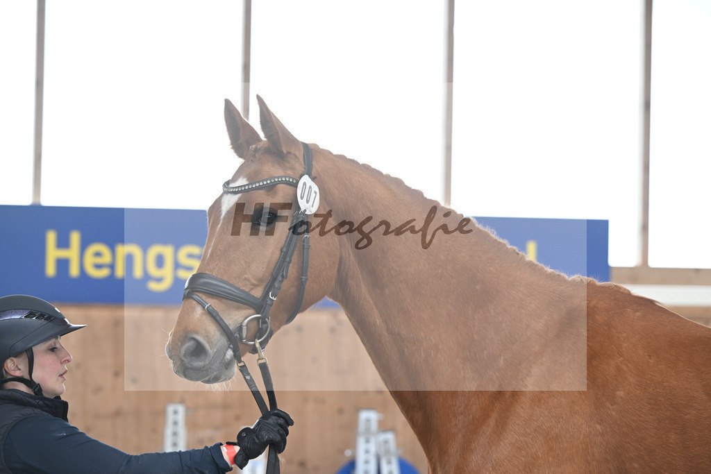 Kat-Nr. 7 Clavius dElifine Z v. Conthargos_Walcher_14260647 | hf-fotografie - Realisiert mit Pictrs.com