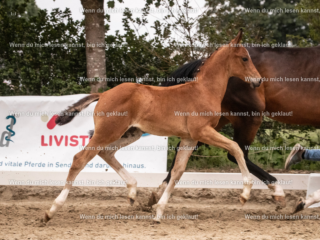 A10I6374 | photographylinaismer - Realisiert mit Pictrs.com