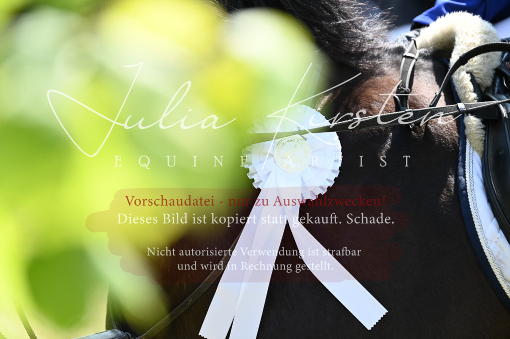 DSC_9554 | Pferde- und Turnierfotografie in Westsachsen. Pferdeportraits, Auftragszeichnungen und intuitive Kunst.