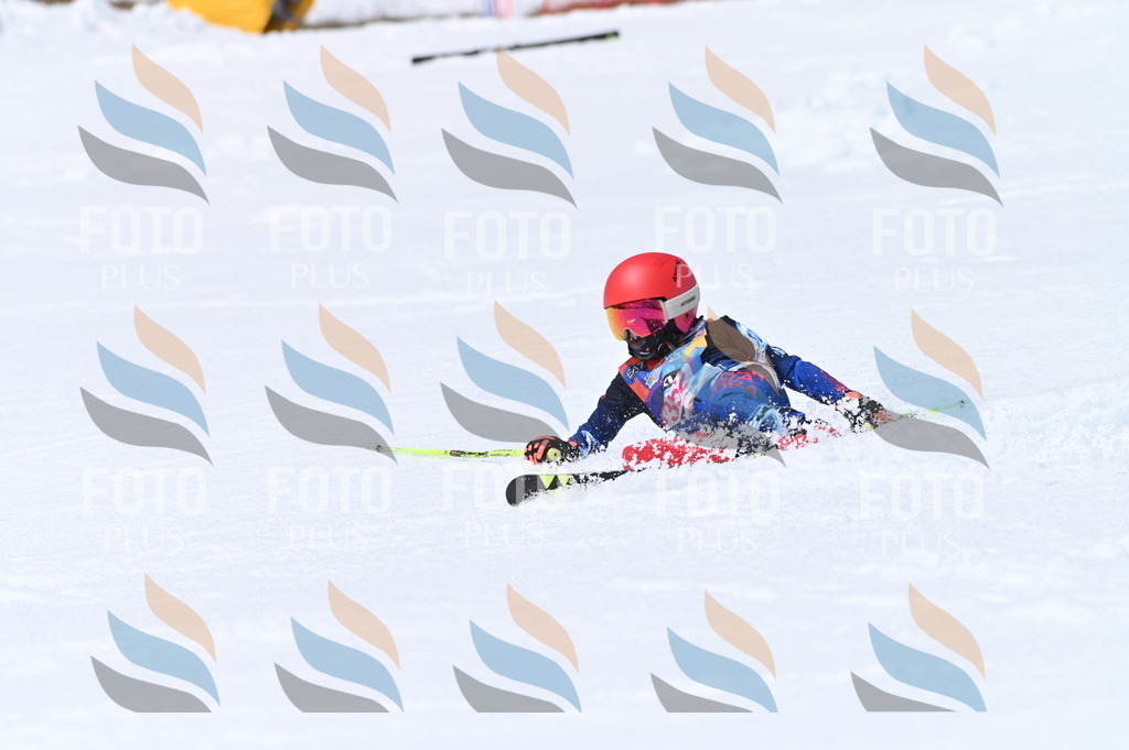 BGV_3680 | holidayphoto