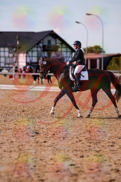 2026_10_03_Siefer-Hof_132607_Z81_79020043 | Professionelle Reitsport-, Turnier- und Eventfotografie von Robert Broda. Galerien mit ausgewählten und bearbeiteten Bildern direkt online ansehen und bestellen.