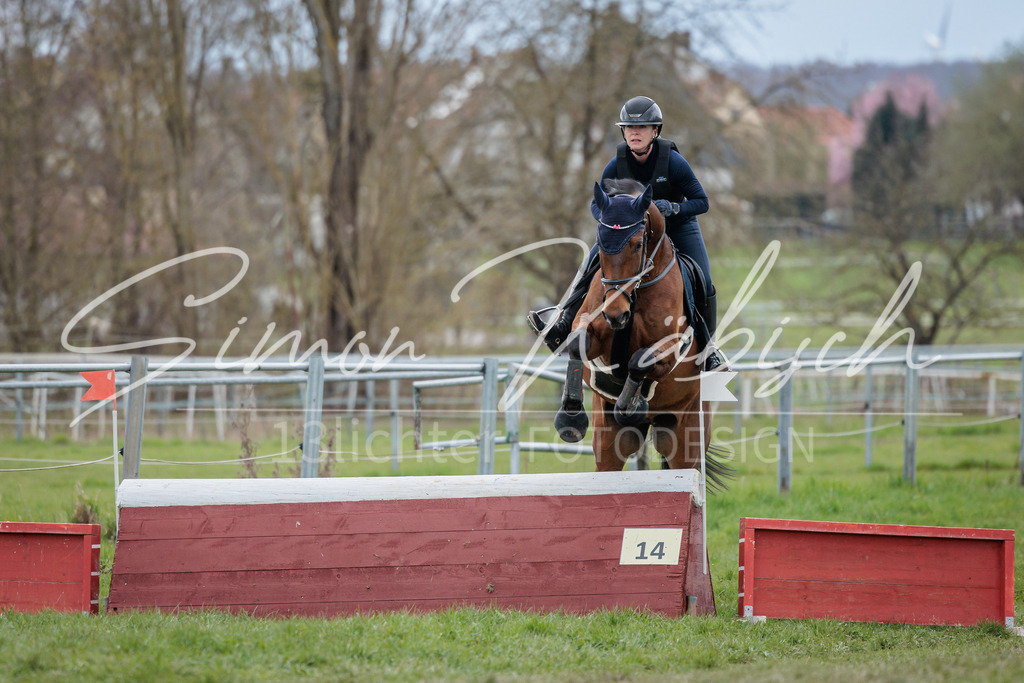 20260329-_3LI5485 | Tierfotografie Pferde, Hunde, Katzen, Haustiere.
Turnierfotografie Reitturniere, Reiten, Springreiten, Dressur in Hanau, dem Main-Kinzig-Kreis und dem Rhein-Main- Gebiet um Frankfurt