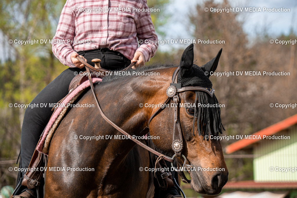 BAL02684 | dv-media-shop - Realisiert mit Pictrs.com