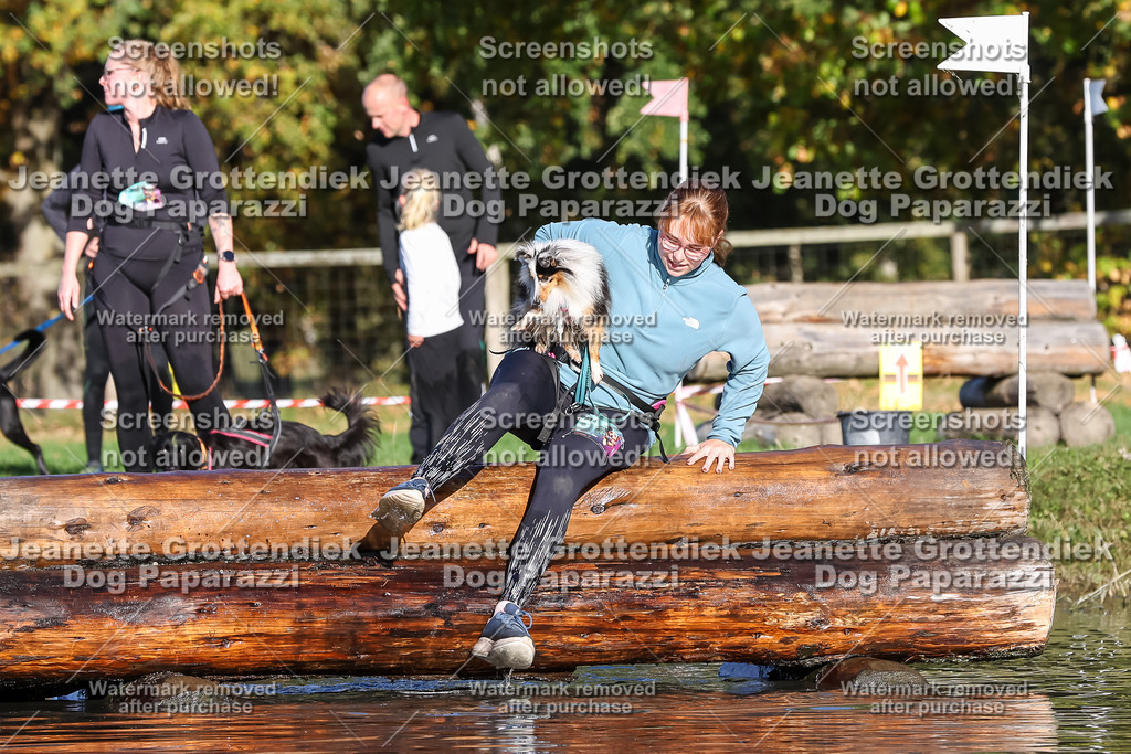 Dog Paparazzi - Strongdog 10-25-8689 | Dog Paparazzi Jeanette Grottendiek Fotografie & Videografie - Realisiert mit Pictrs.com