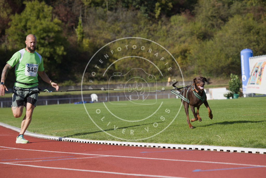 0L8A9390 | Hundefotografie, Tierfotograf, Pfotenfotografie, Fotoshooting Hund, Hunde Portrait, Hundesport, Hundeportraits, Heideshooting, Hunde, Sportfotograf, Hundefotograf, Turnierhundsport, THS,  - Realisiert mit Pictrs.com