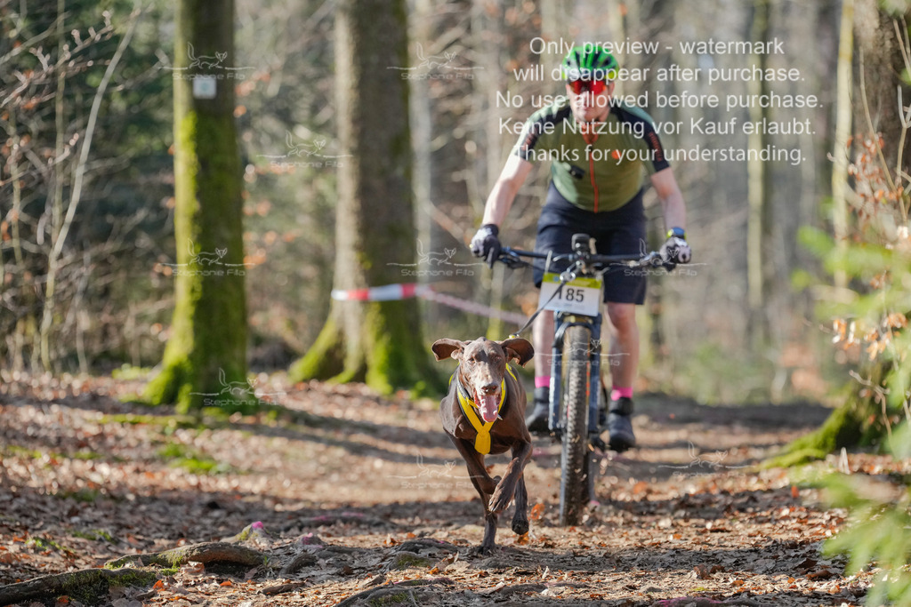 Bike_So-81 | stephaniefillaphotographie - Realisiert mit Pictrs.com