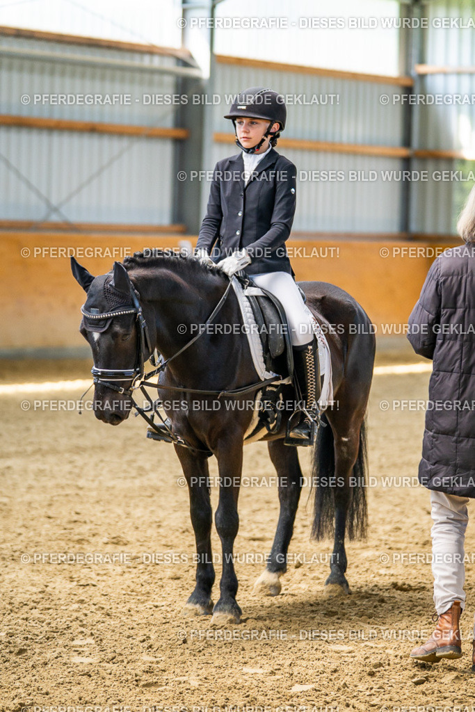 DSC02736 | Pferdegrafie