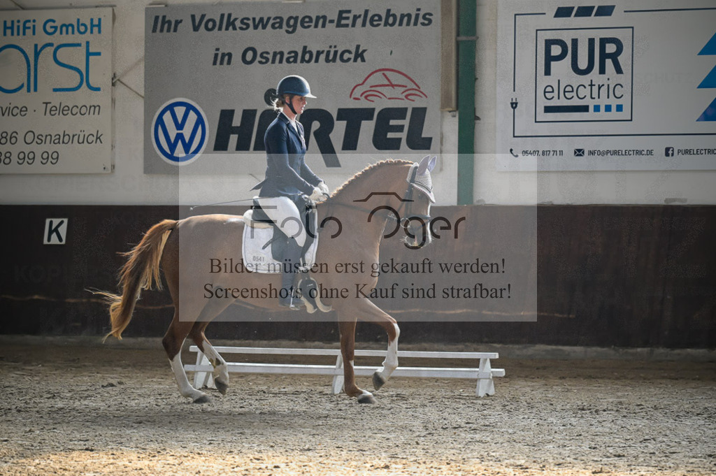Reitturnier Voxtrup | Entdecke hochwertige Reitturnierfotos von Foto Oger. Professionell, emotional und authentisch – jetzt Lieblingsmomente im Shop bestellen.Deutschlandweite Turnierfotografie. - Realisiert mit Pictrs.com