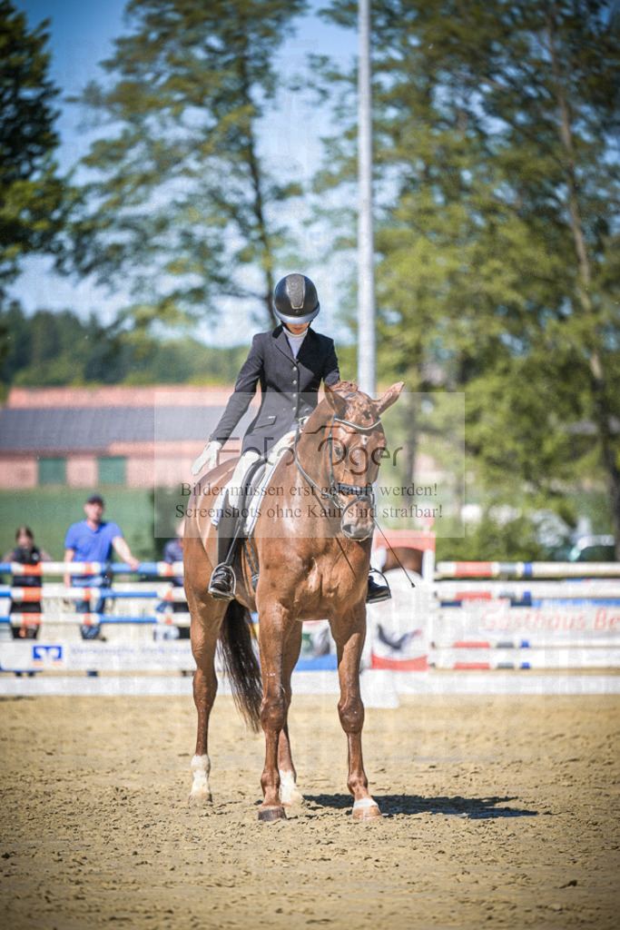 DOS_6610 | Entdecke hochwertige Reitturnierfotos von Foto Oger. Professionell, emotional und authentisch – jetzt Lieblingsmomente im Shop bestellen.Deutschlandweite Turnierfotografie. - Realisiert mit Pictrs.com