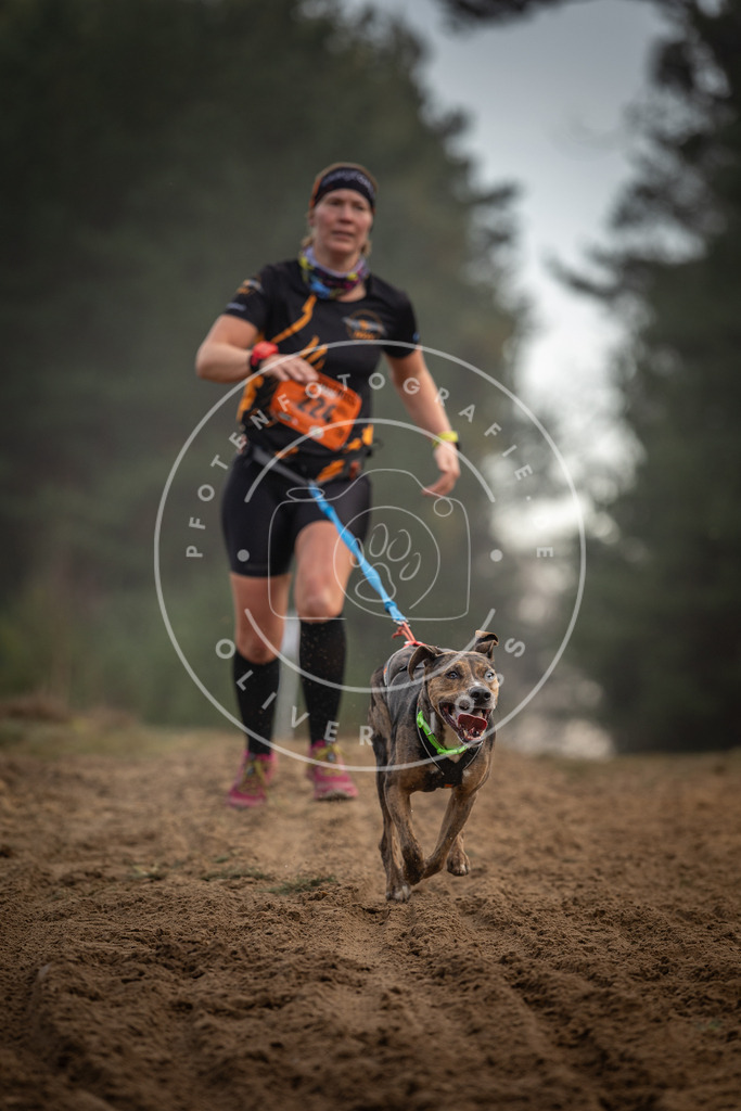 Pfotenfotografie_DV3A5407 | Hundefotografie, Tierfotograf, Pfotenfotografie, Fotoshooting Hund, Hunde Portrait, Hundesport, Hundeportraits, Heideshooting, Hunde, Sportfotograf, Hundefotograf, Turnierhundsport, THS,  - Realisiert mit Pictrs.com