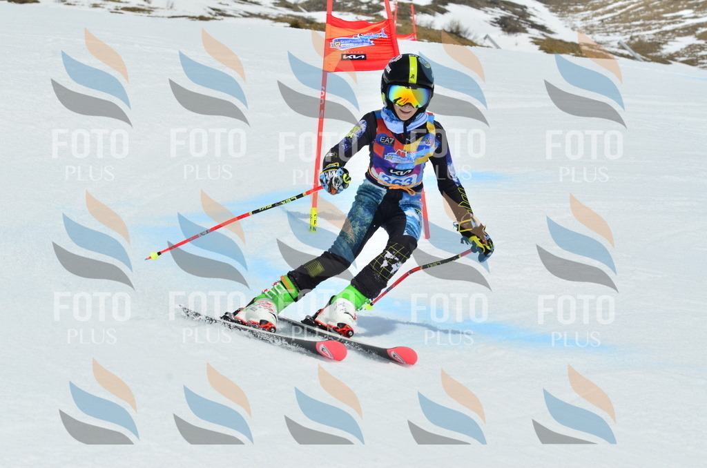 _ELE2905 | holidayphoto