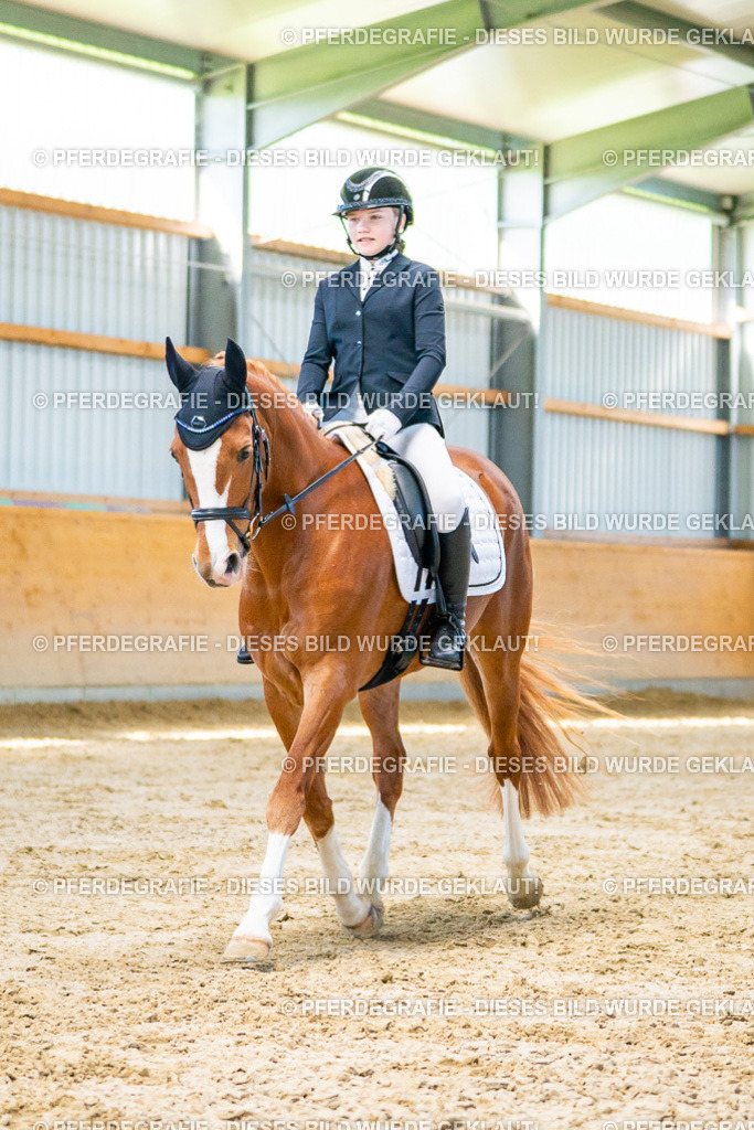 DSC06793 | Pferdegrafie