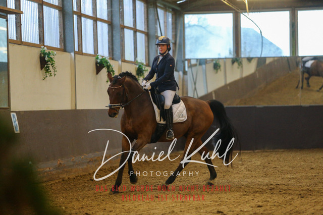 IMG_7490 | Turniersportfotografie; Pferdefotografie; Dressurfotografie