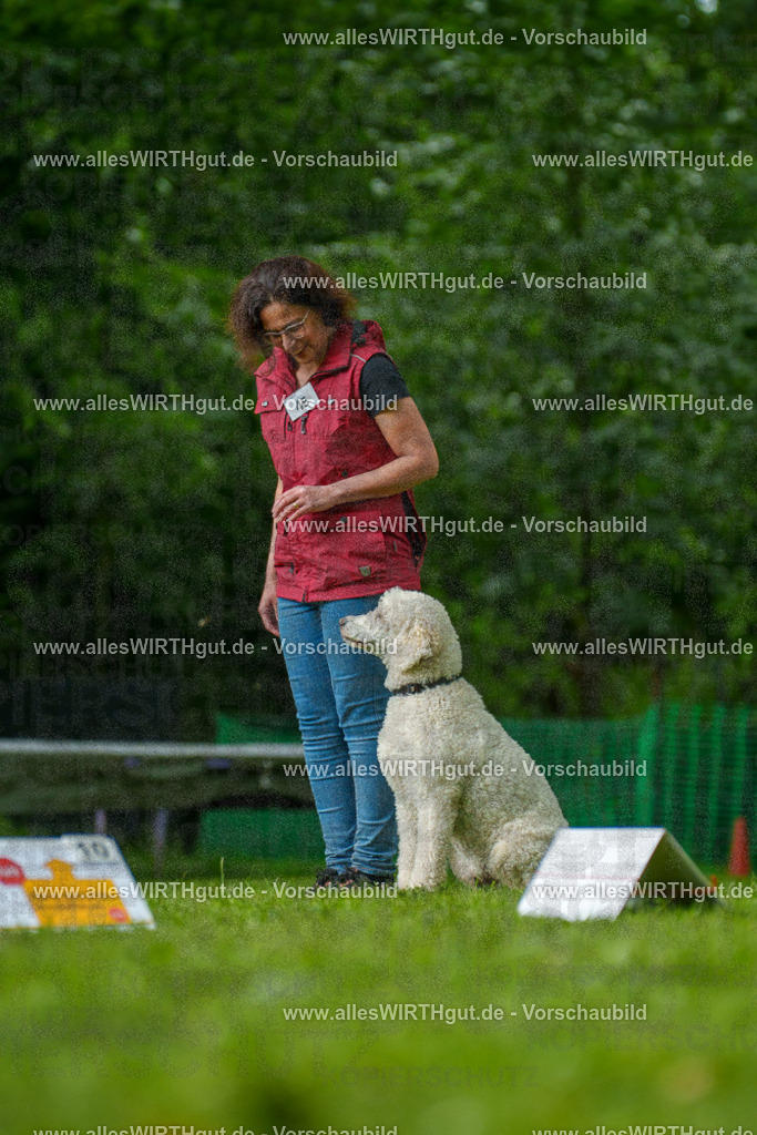 @allesWIRTHgut_Tierfotografie - www.allesWIRTHgut.de - 7R505257 | Professionelle Tierfotografie in Mönchengladbach von Daniel Wirth (allesWIRTHgut). Liebevolle & natürliche Bilder von Hunden & Katzen für unvergessliche Erinnerungen.