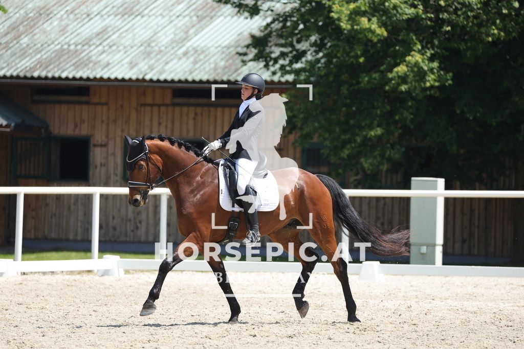 0P6A1620 | Willkommen bei Brunnmayr - Design & Fotografie – Ihrem Spezialisten für Reitturniere und Pferdeveranstaltungen in Oberösterreich, Salzburg und Bayern! Seit über 17 Jahren sind wir leidenschaftlich dabei.