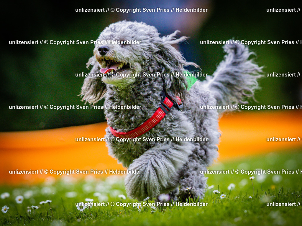 Sven Pries | 2025-05-29 - Pudelrennen KA-Durlach - Realisiert mit Pictrs.com