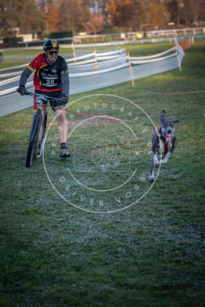 CaniXpix_0L8A1739 | Hundefotografie, Tierfotograf, Pfotenfotografie, Fotoshooting Hund, Hunde Portrait, Hundesport, Hundeportraits, Heideshooting, Hunde, Sportfotograf, Hundefotograf, Turnierhundsport, THS,  - Realisiert mit Pictrs.com