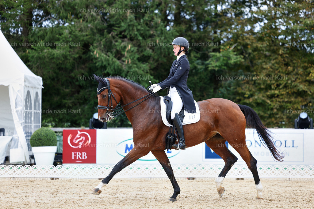 6-084-AMATUER-DRESSUR S_  -StoibPH-3568 | working equitationturnier fotograf videograf stoibphotography marixx film working equitation deutschland reitsport turnierfotografie eventfotografie equestrian events