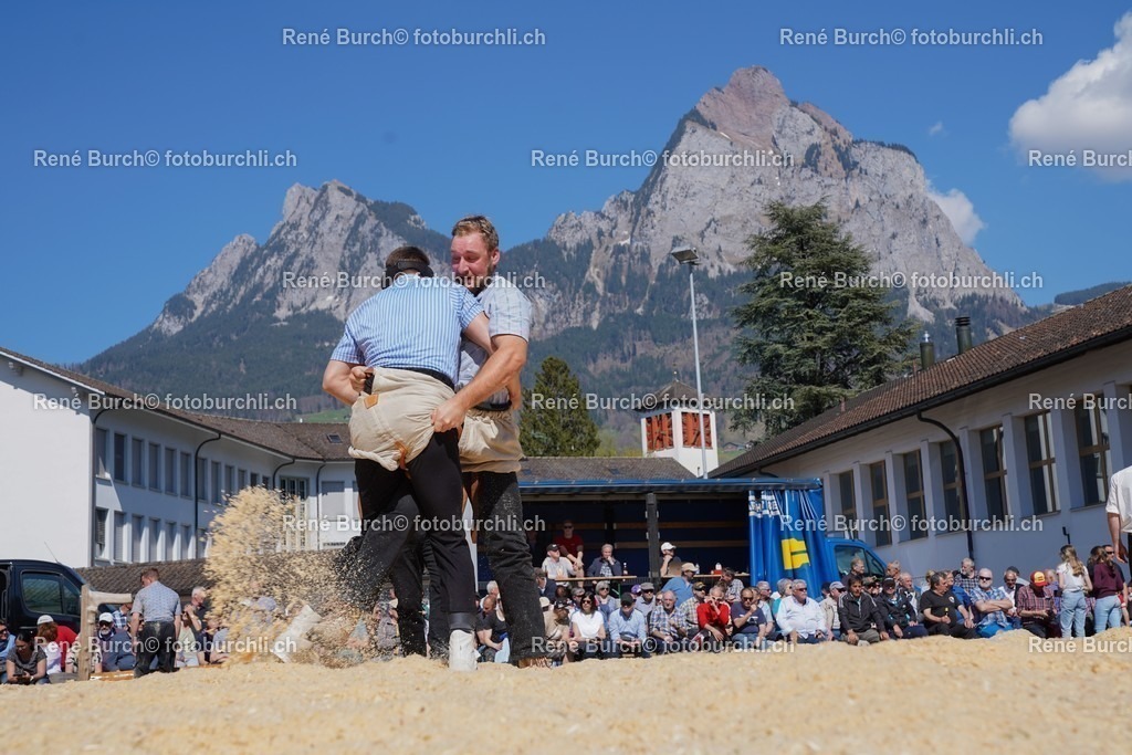 20220418-DSC03393 | René Burch leidenschaftlicher Fotograf aus Kerns in Obwalden.  Hier finden sie Sport, Landschaft und Natur Fotografie.
 - Realisiert mit Pictrs.com