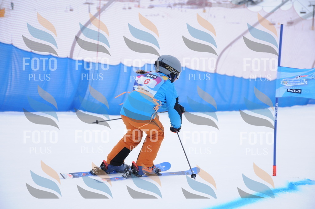 DSC_7594 | holidayphoto