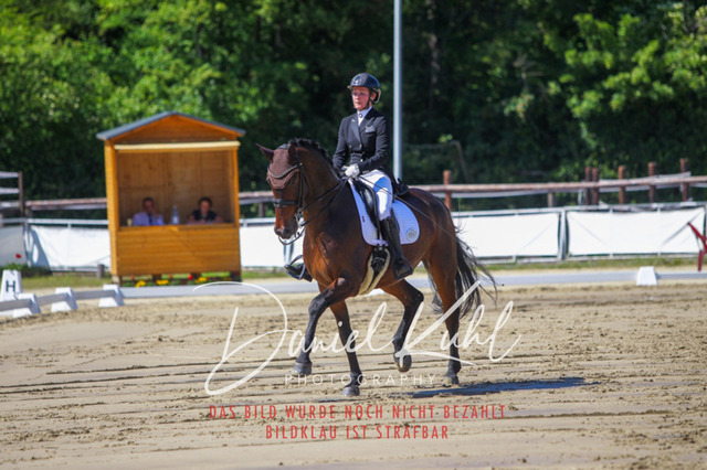 DKP42331 | Turniersportfotografie; Pferdefotografie; Dressurfotografie