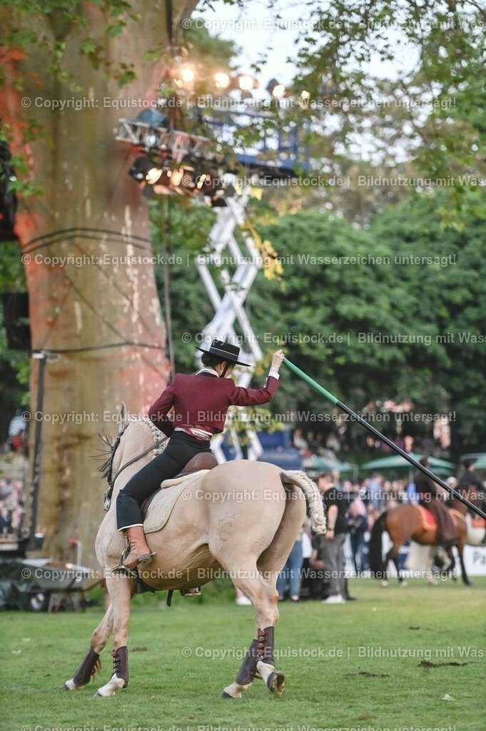 20230526_Pferdenacht_0725 | equistock