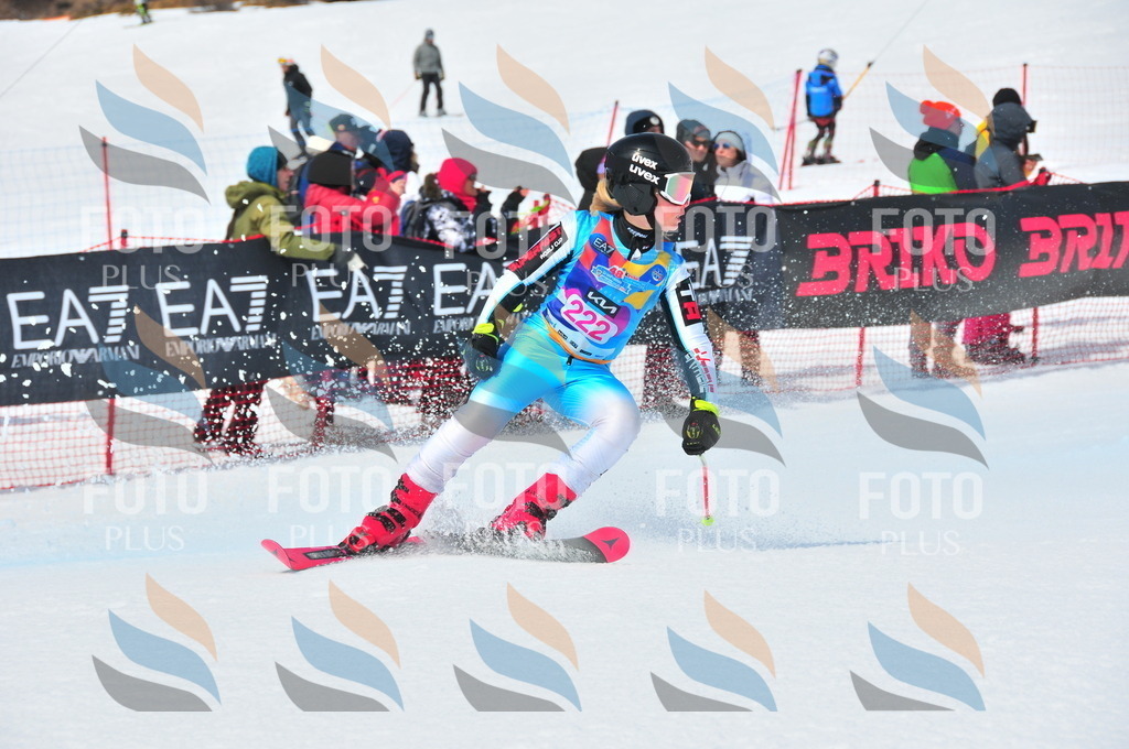 DSC_5797 | holidayphoto