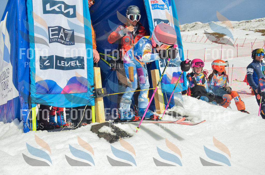 _ELE5233 | holidayphoto