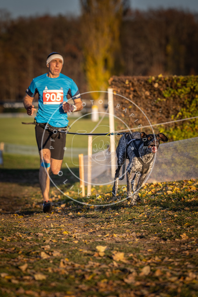 CaniXpix_DV3A4704 | Hundefotografie, Tierfotograf, Pfotenfotografie, Fotoshooting Hund, Hunde Portrait, Hundesport, Hundeportraits, Heideshooting, Hunde, Sportfotograf, Hundefotograf, Turnierhundsport, THS,  - Realisiert mit Pictrs.com