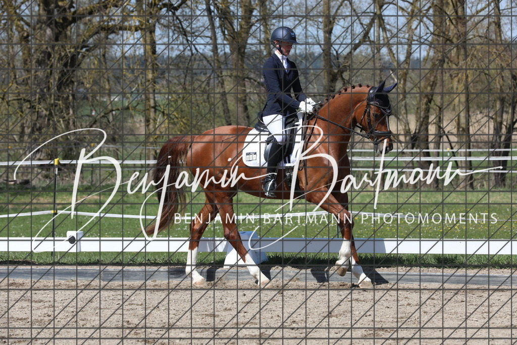 AZ2A5165 | Benjamin Bartmann Photomoments